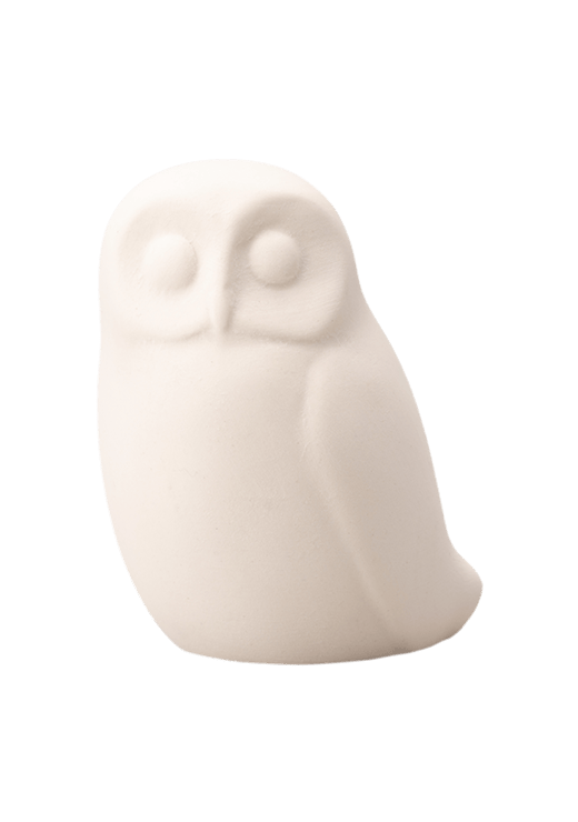 Owl #04 / 梟 #04