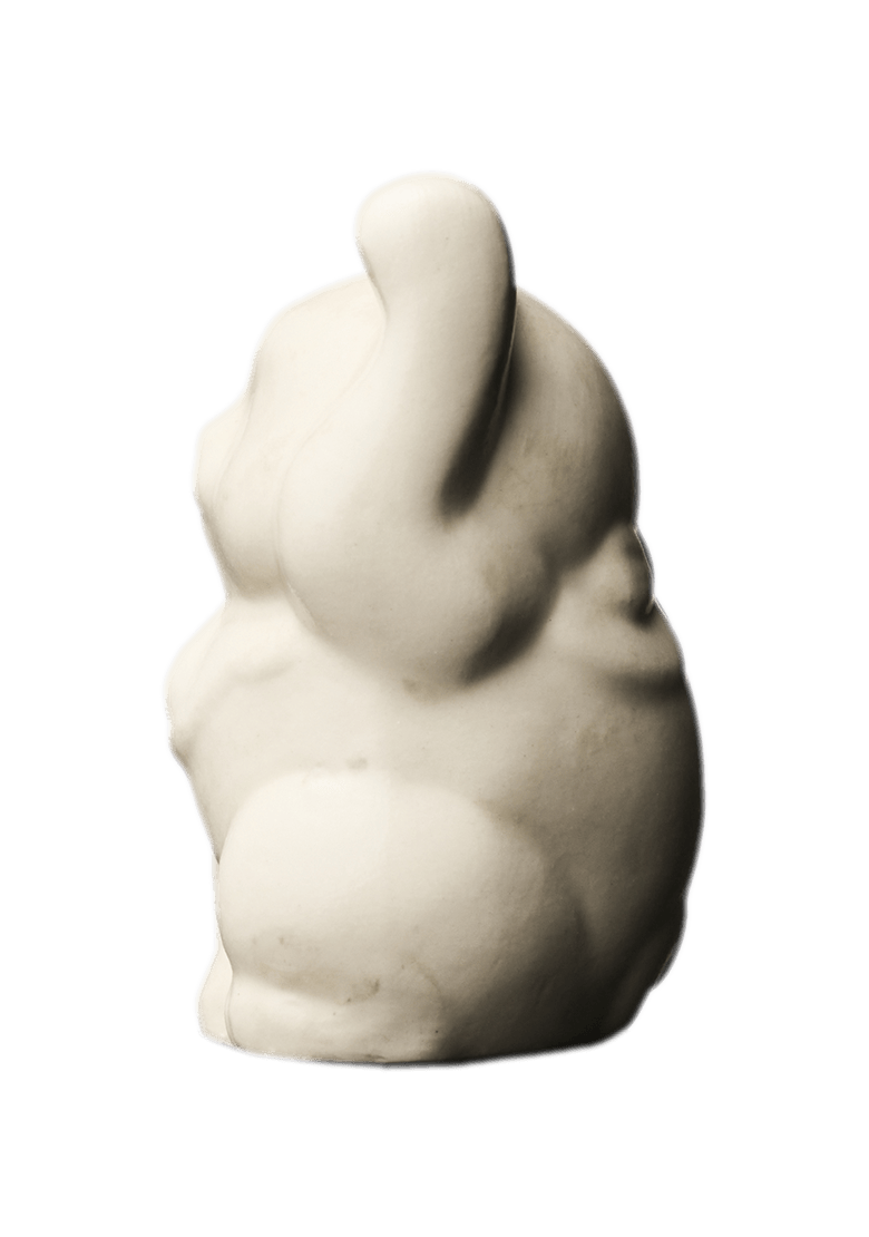 Lucky cat #014 / 招き猫 #014