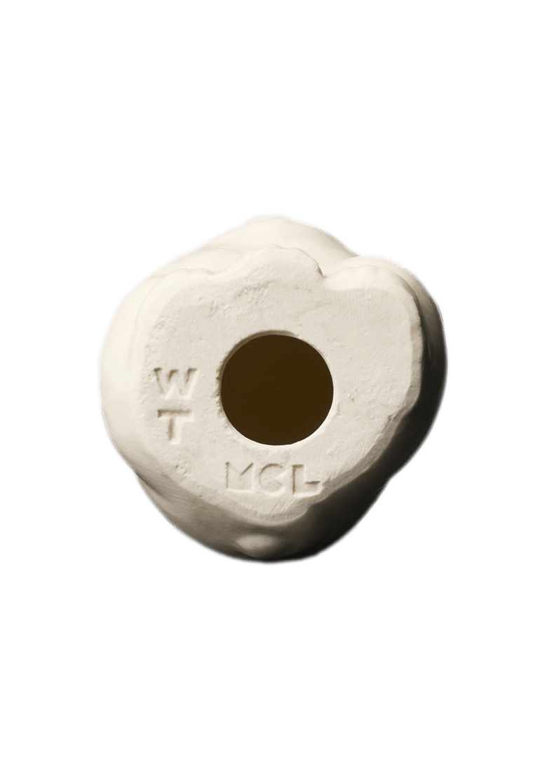 Lucky cat #014 / 招き猫 #014