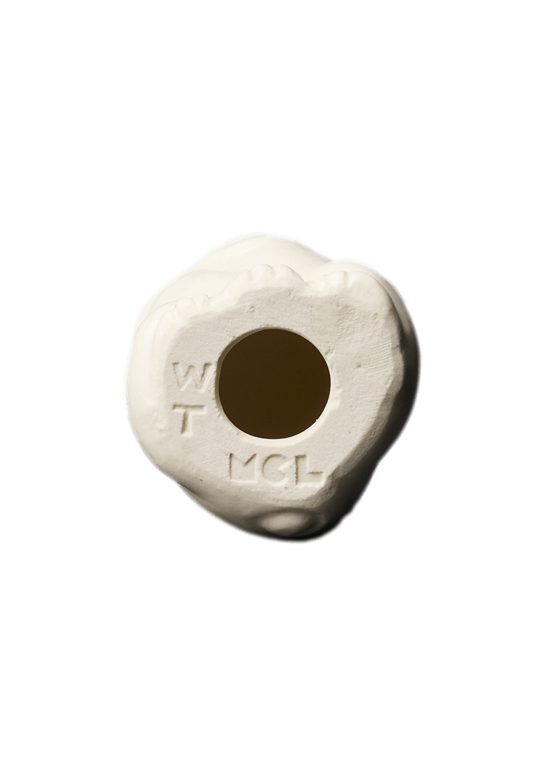 Lucky cat #010 / 招き猫 #010