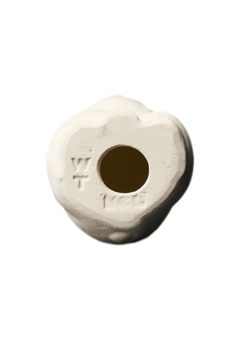 Lucky cat #016 / 招き猫 #016